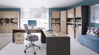  Executive Narrow Storage Cabinet - Modern home office