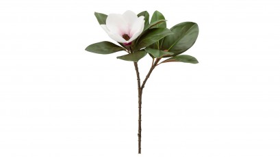  Torre & Tagus Magnolia Bloom 66cm Spray - Perfect vase filler