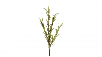  Torre & Tagus Desert Spike Grass - Perfect vase filler