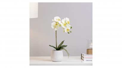  Torre & Tagus Phalaenopsis Potted Faux Orchid - Home decor