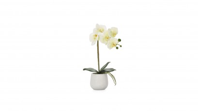  Torre & Tagus Phalaenopsis Potted Faux Orchid - Home decor