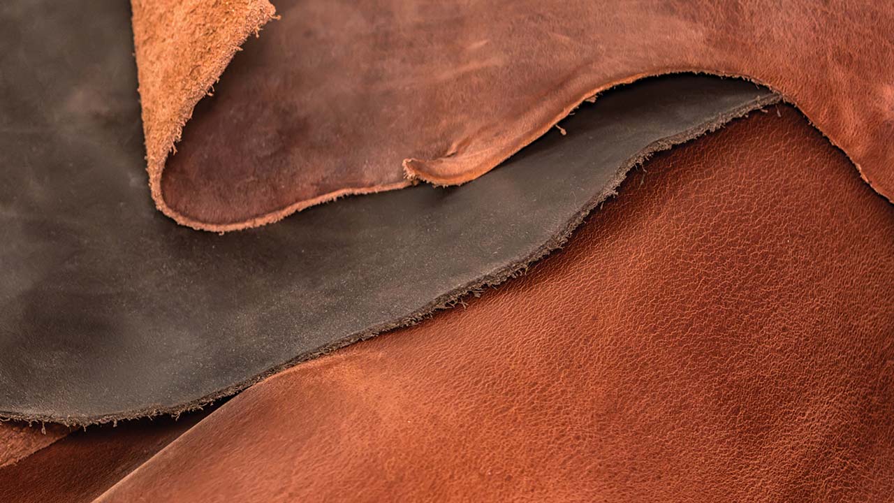 Leather vs. Fabric Sofa