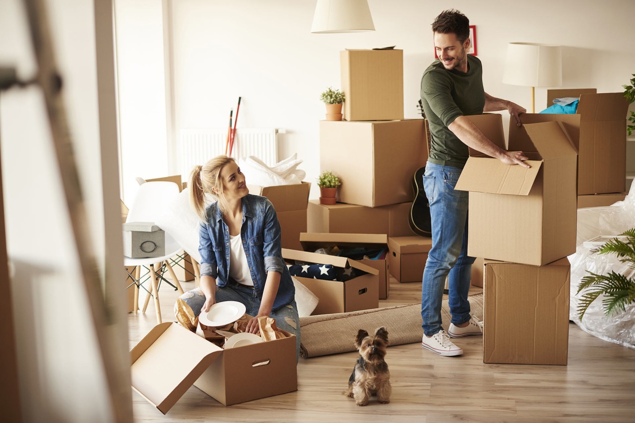 Home essentials: what to buy when moving into a new place?