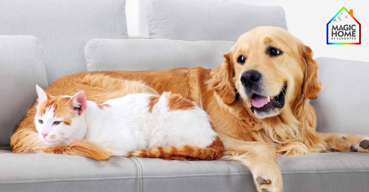 Pet-friendly fabrics for your home.