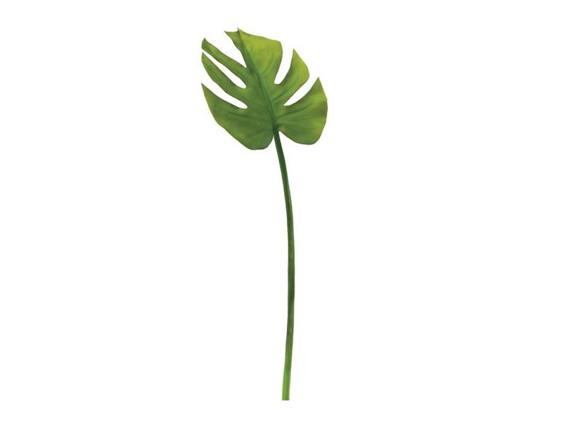 Torre &amp; Tagus Monstera Leaf Stem - Perfect vase filler