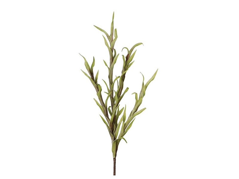 Torre &amp; Tagus Desert Spike Grass - Green - Perfect vase filler
