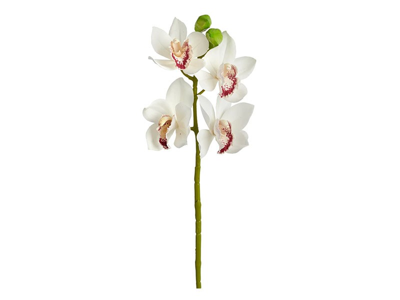 Torre &amp; Tagus Cymbidium Orchid Stem - White - Decorative vase filler