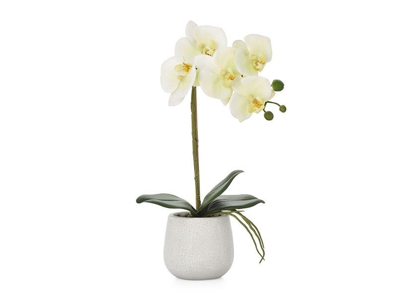  Torre & Tagus Phalaenopsis Potted Faux Orchid - Home decor - Online store Smart Furniture Mississauga