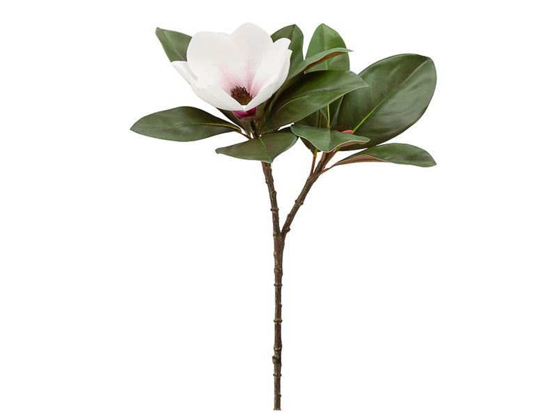  Torre & Tagus Magnolia Bloom 66cm Spray - Perfect vase filler - Online store Smart Furniture Mississauga