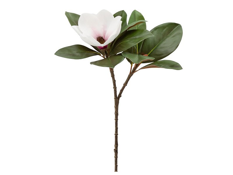 Torre &amp; Tagus Magnolia Bloom 66cm Spray - Perfect vase filler